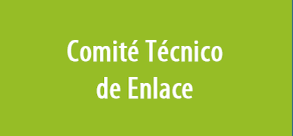 comite tecnico de enlace