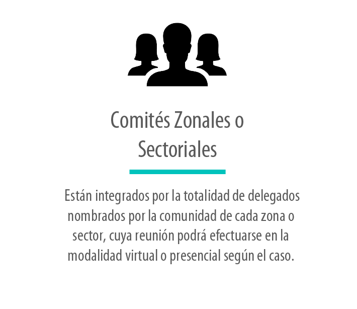 comites zonales